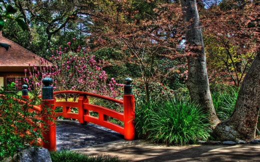 498984 (a): :2560x1600